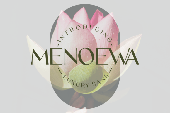 Choosing Menoewa for a Modern Website Design